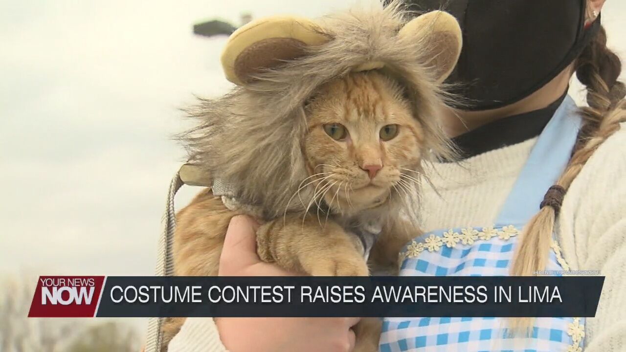 Pet costume contest raises awareness on domestic violence and sexual assault